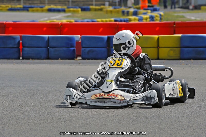 DSC_ (1392).jpg
